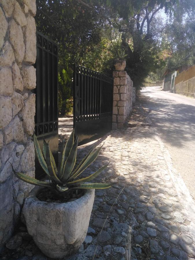 Olea Home Agia Pelagia Chlomou Exterior photo