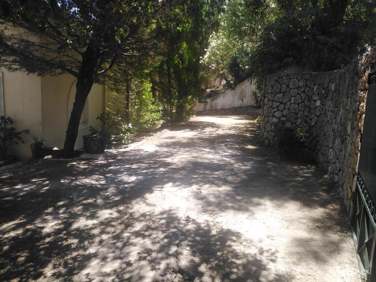 Olea Home Agia Pelagia Chlomou Exterior photo